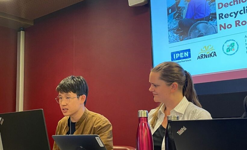 IPEN member speaking at a BRS side event