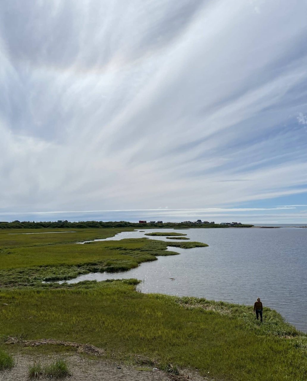 Alaska landscape